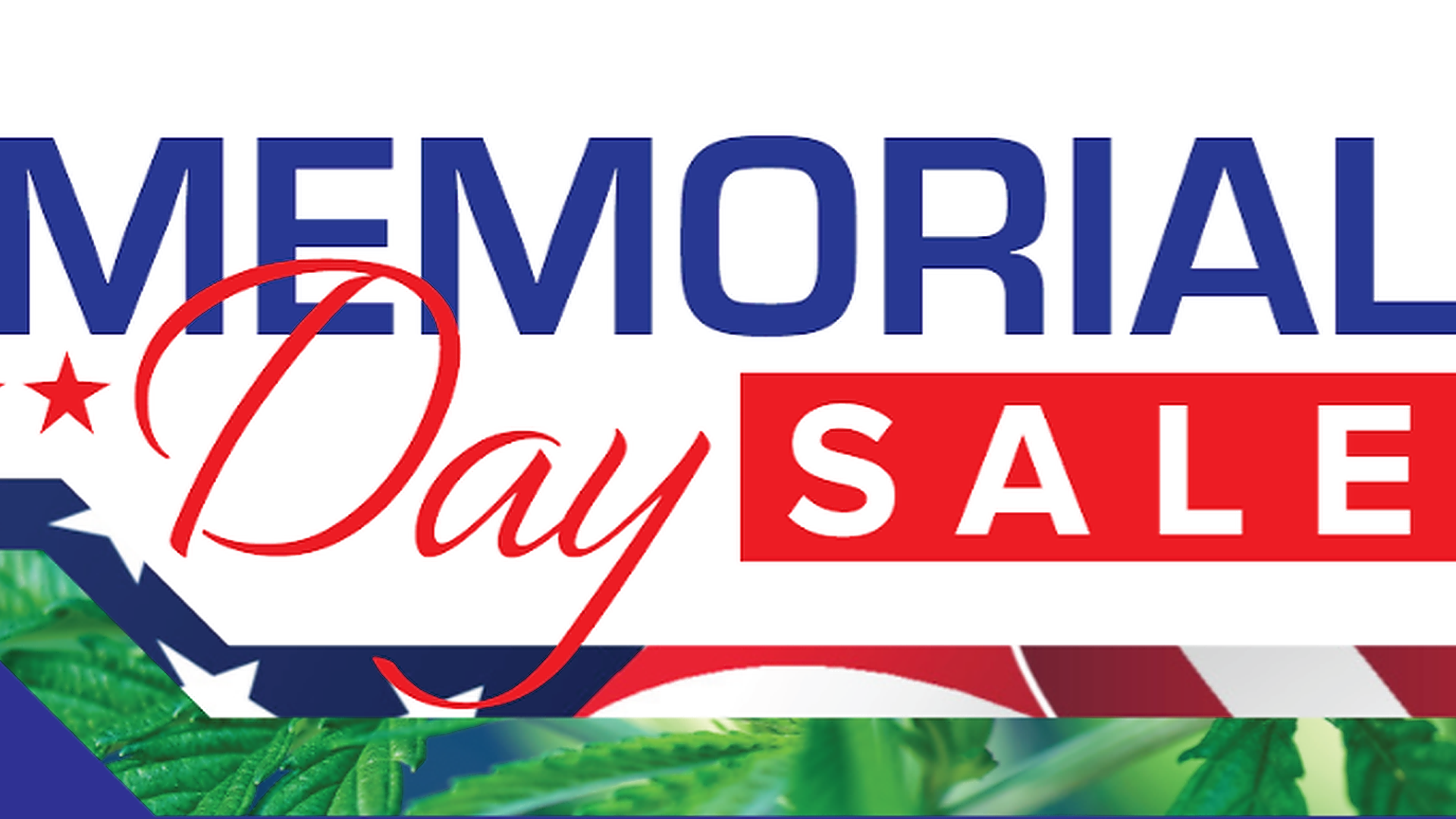 Memorial Day Sale: 50% OFF iLAVAHEMP Ultra 500mg!